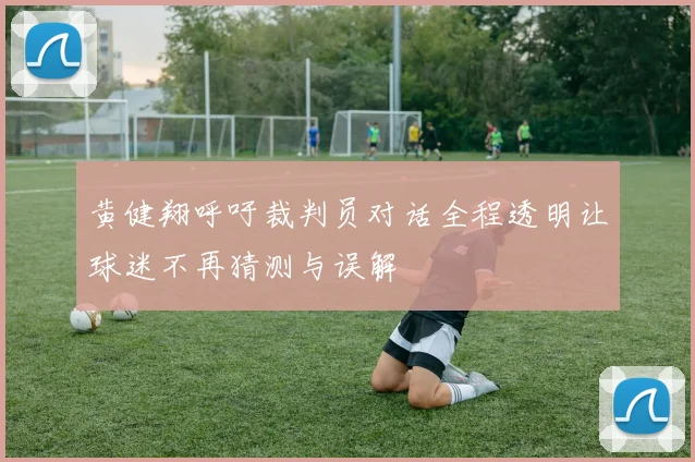 黄健翔呼吁裁判员对话全程透明让球迷不再猜测与误解