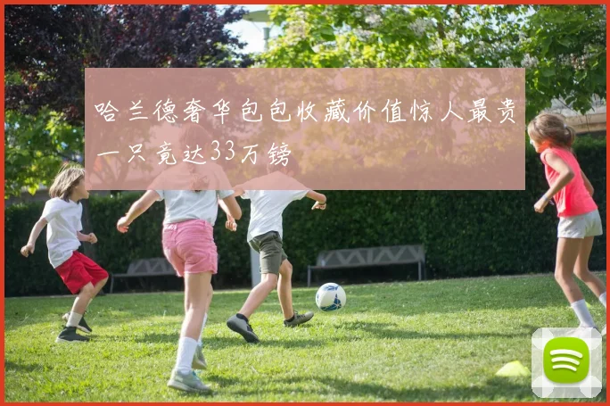 哈兰德奢华包包收藏价值惊人最贵一只竟达33万镑