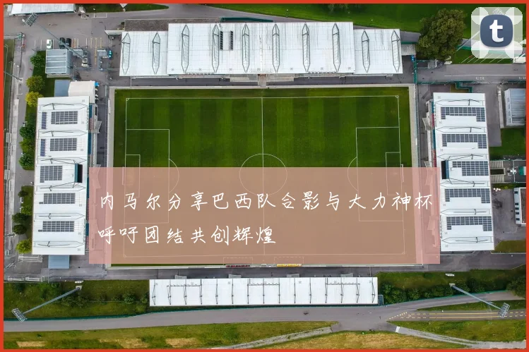 内马尔分享巴西队合影与大力神杯呼吁团结共创辉煌