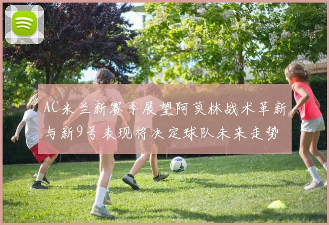 AC米兰新赛季展望阿莫林战术革新与新9号表现将决定球队未来走势